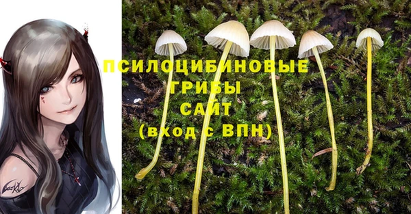 метадон Бугульма